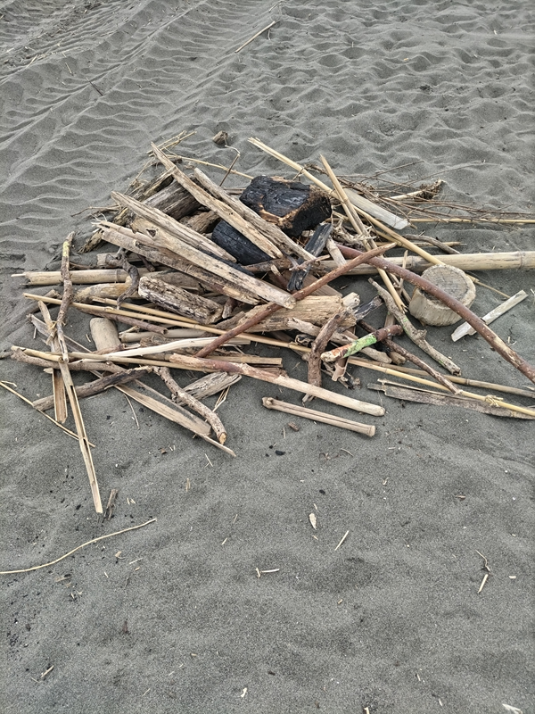 元ニート引籠りの俺が集めた流木の束（辻堂海岸）