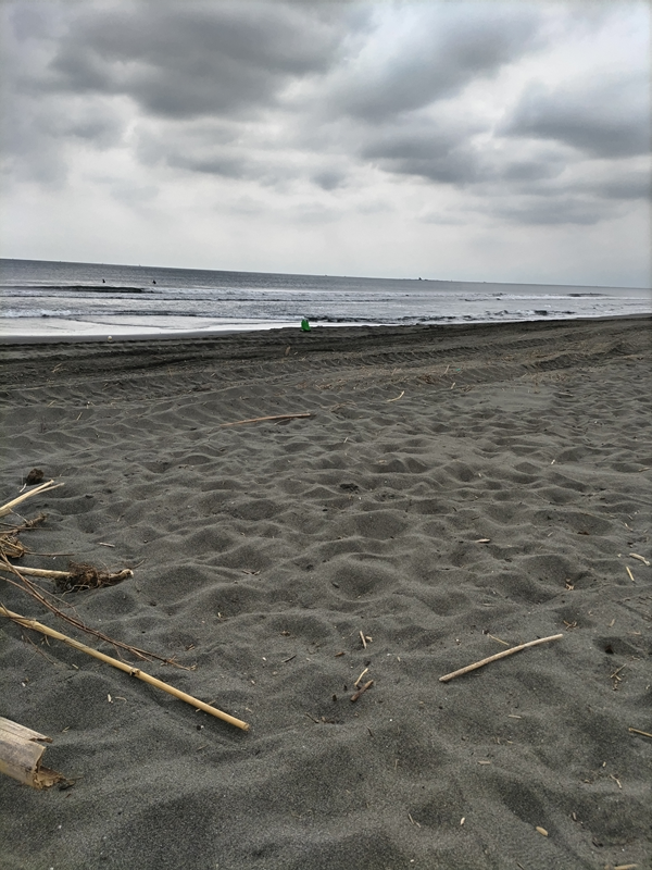 元引籠りニートの俺が見た、比較的綺麗な辻堂海岸の様子