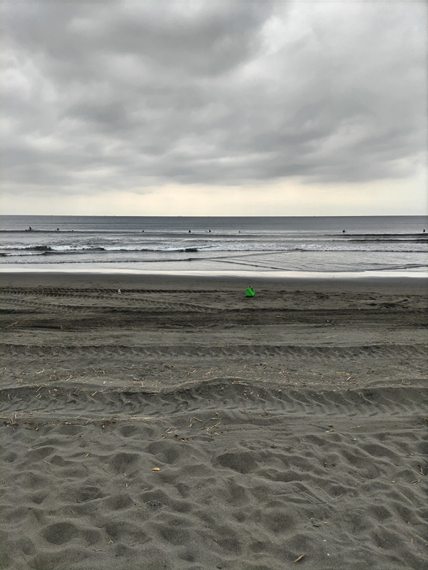 引きこもりだった齋藤健一が見ていた辻堂海岸の海で泳ぐサーファーと緑色の何かの物体