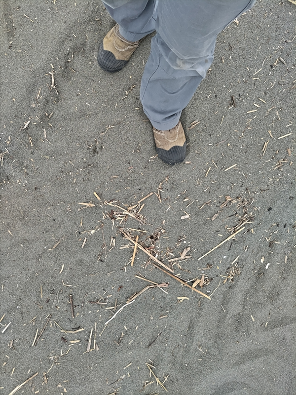 元引籠りニートの俺が立っていた辻堂海岸の砂地に立つ齋藤健一の靴と作業用ズボン