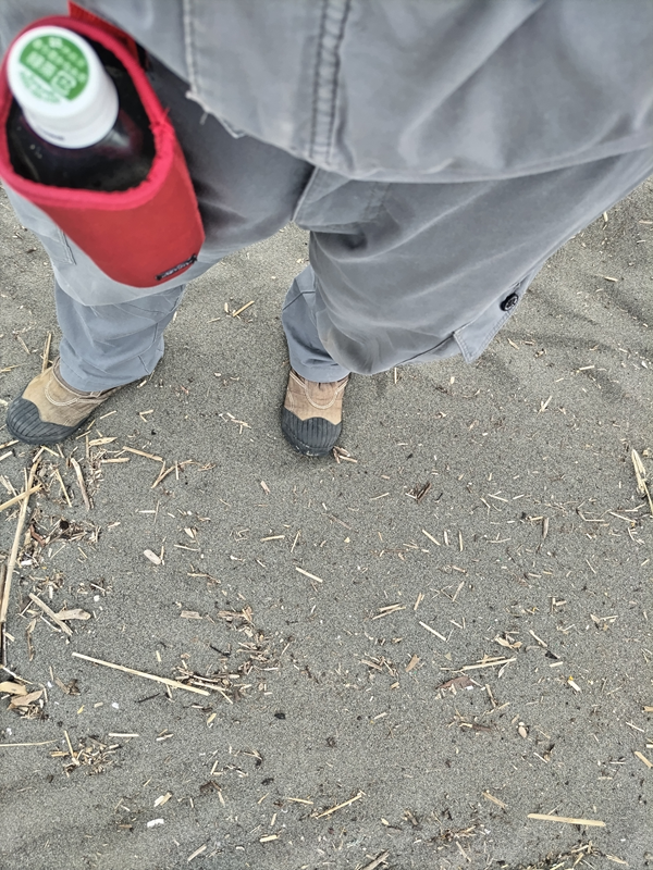 元ニート引籠りが立っていた辻堂海岸の砂浜に広がる細かな木くずゴミ