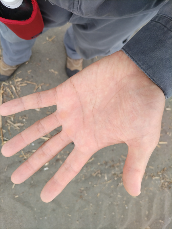 元引籠りニートの俺が広げた左手の掌と手相（辻堂海岸にて）