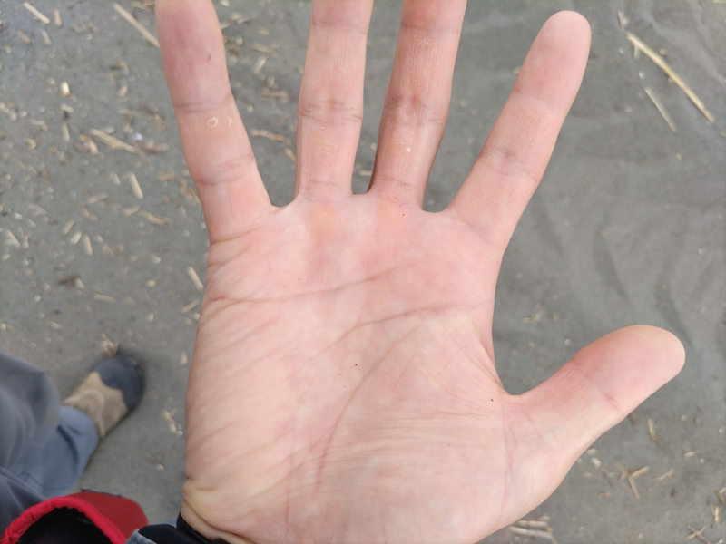 元ニート引籠りの俺が見ていた右手の掌と右手の手相（辻堂海岸にて）