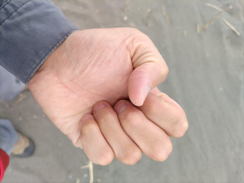 元ニート引籠りの俺が撮影した拳を握った左手（辻堂海岸）