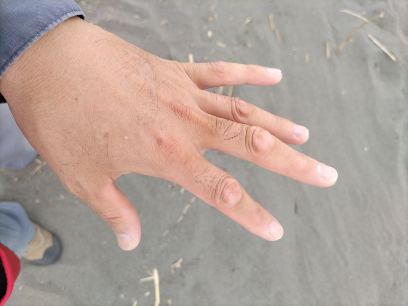 元引籠りニートの俺が撮影した左手の手と爪（辻堂海岸にて）