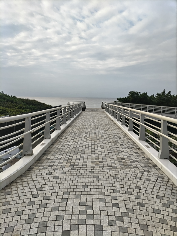 元ニート引籠りの俺が見ていた浜須賀交差点から海へと続く道（陸橋の上から）