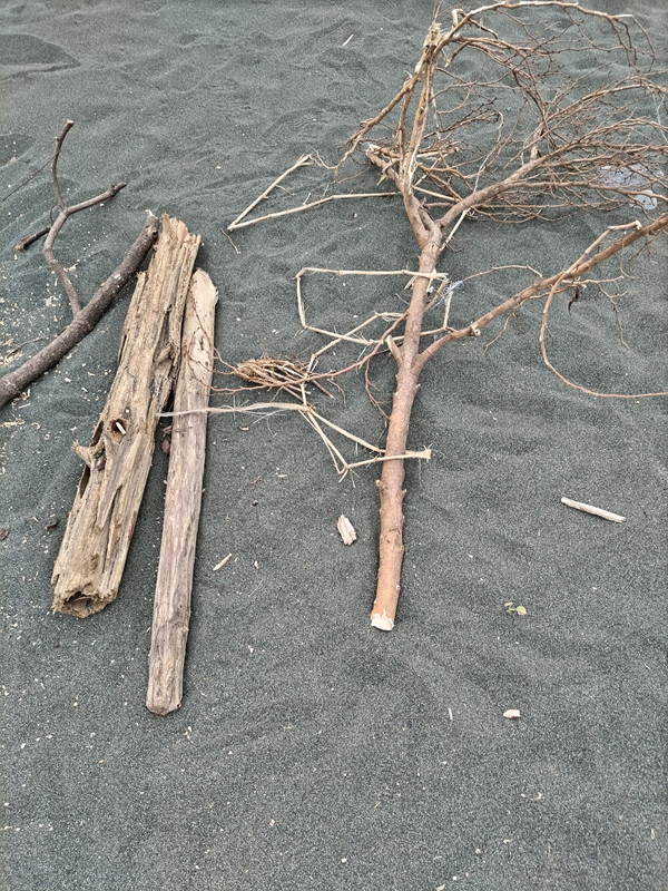 引籠りニートだった齋藤健一が大磯町の海岸でチェーンソーで切られた流木を見ていた時の様子