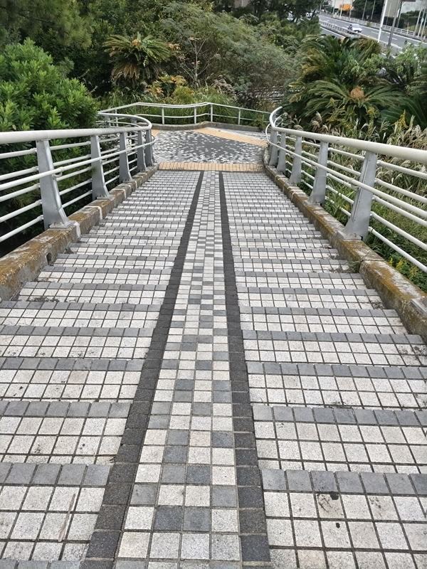 引籠りニートだった齋藤健一がバス停へ行く為に降りて行った歩道橋の階段