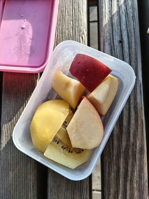 引籠りニートだった齋藤健一が朝に食べていたリンゴとキウイ