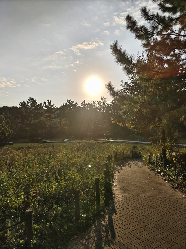 元ニート引籠りの齋藤健一が早朝に目撃した綺麗な太陽