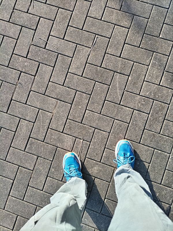 引籠りニートだった齋藤健一が朝の舗装路に立っていた様子