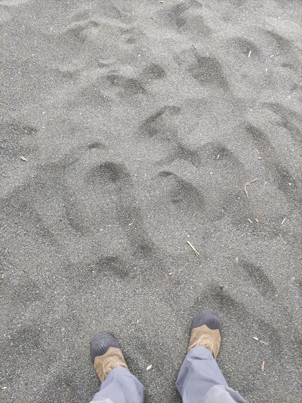 引籠りニートだった齋藤健一が立っていた砂浜の砂地