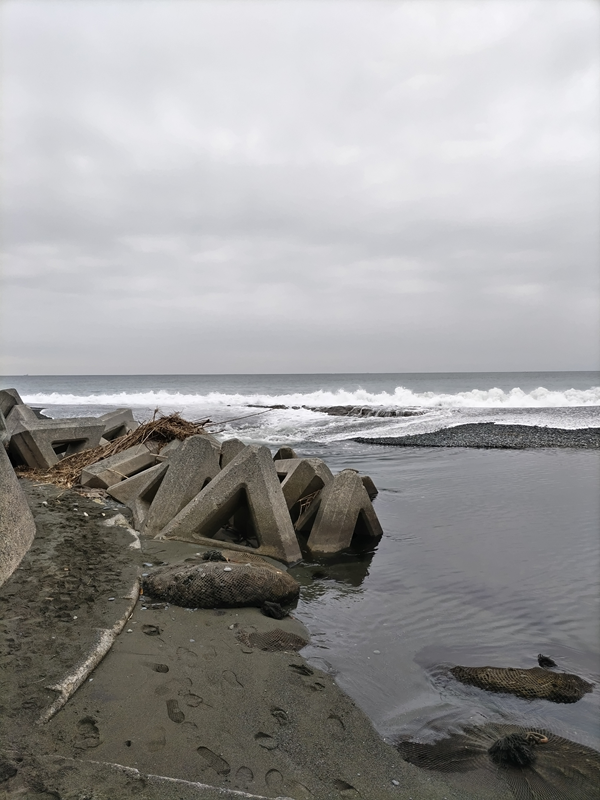 引籠りニートだった齋藤健一が見ていた大磯の海岸に埋められたテトラポット