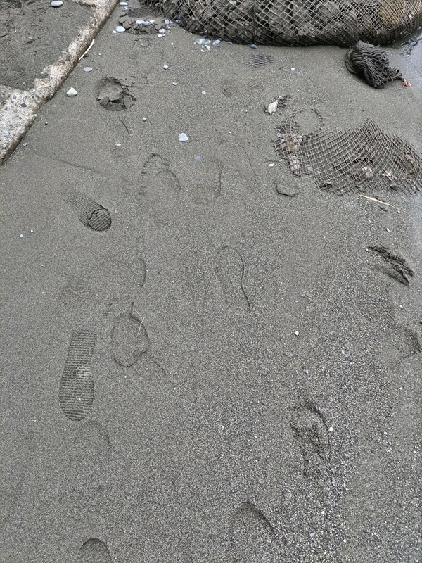 引籠りニートだった齋藤健一が砂浜についた足跡を見ているところ