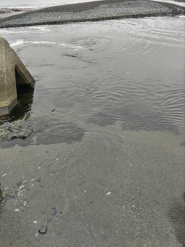 引籠りニートだった齋藤健一が大磯の海岸に流れ込む川の水を眺めているところ
