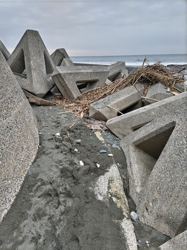 元ニート引籠りの俺が見ていた大磯の海岸の砂地に埋められた三角型のテトラポット