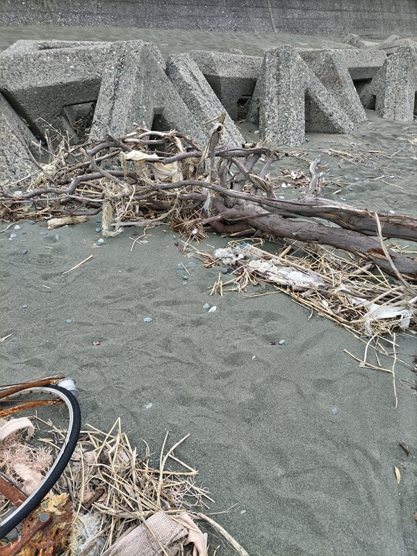 引籠りニートだった齋藤健一が海岸に漂着した流木と自転車のタイヤを見ているところ