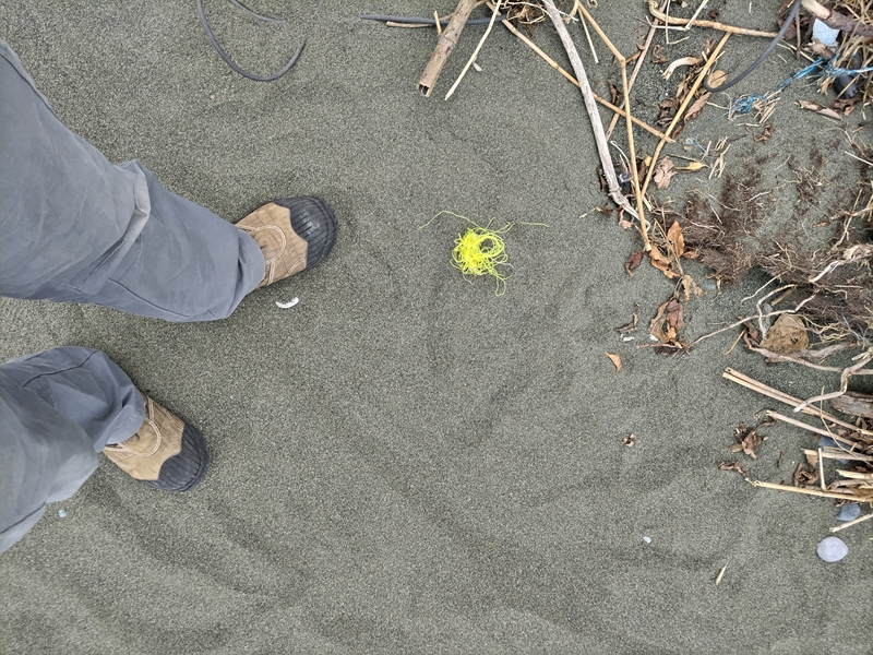 引籠りニートだった齋藤健一が砂浜に置かれた黄色い釣り糸の束を見ているところ