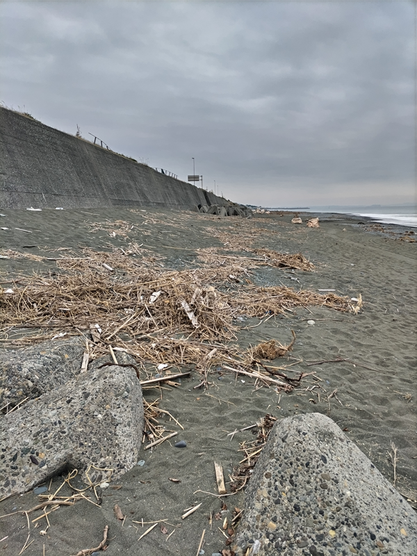 引籠りニートだった齋藤健一が目撃した汚れ切った大磯町の砂浜の様子