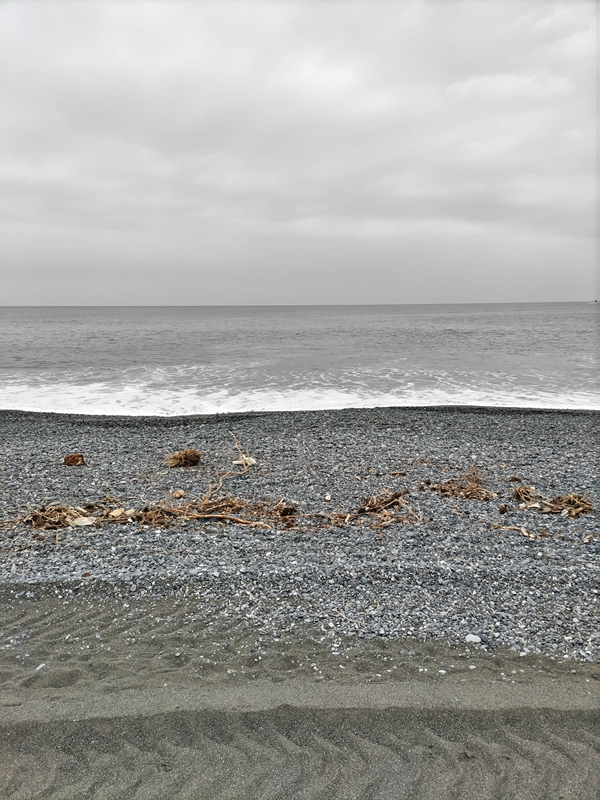 引籠りニートだった齋藤健一が見ていた木くずで汚れた大磯海岸