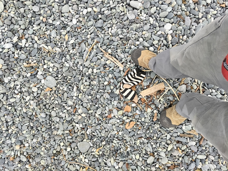 引籠りニートだった齋藤健一が大磯の海岸で見つけた白黒の小さな子供用の靴下