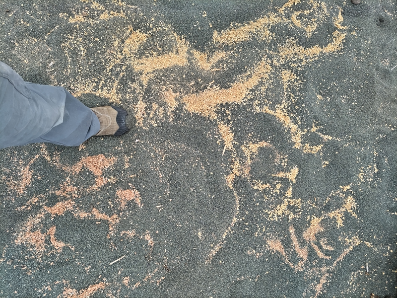 元ニートが見ていた砂浜にまき散らしたチェーンソーが木を切断した後の木くず