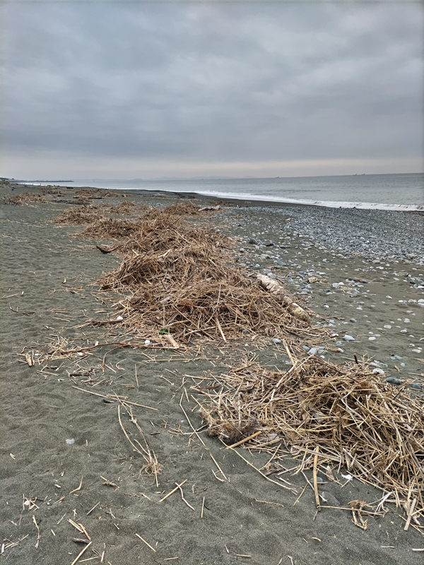 引籠ニートだった齋藤健一がこれから海岸清掃する現場を見ている場面【神奈川県の大磯海岸】
