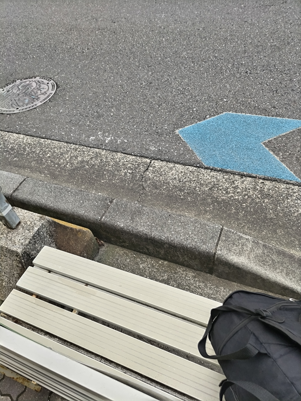 元ニート引籠りの齋藤健一が道路上にペイントされた青い矢印を見ている様子