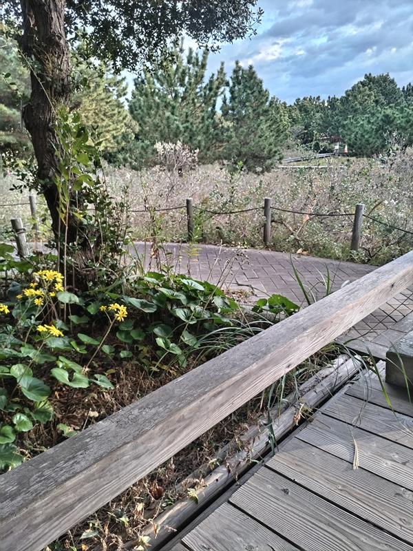 元引籠りニートだった齋藤健一が歩いていた自然公園内の快晴の空と景色