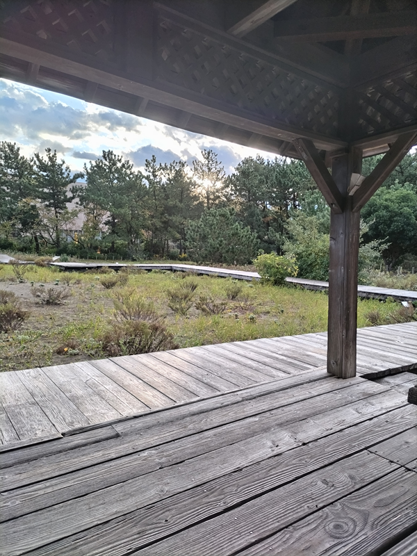 元ニート引籠りの齋藤健一が見ていた自然公園内の木製の構造物と植物