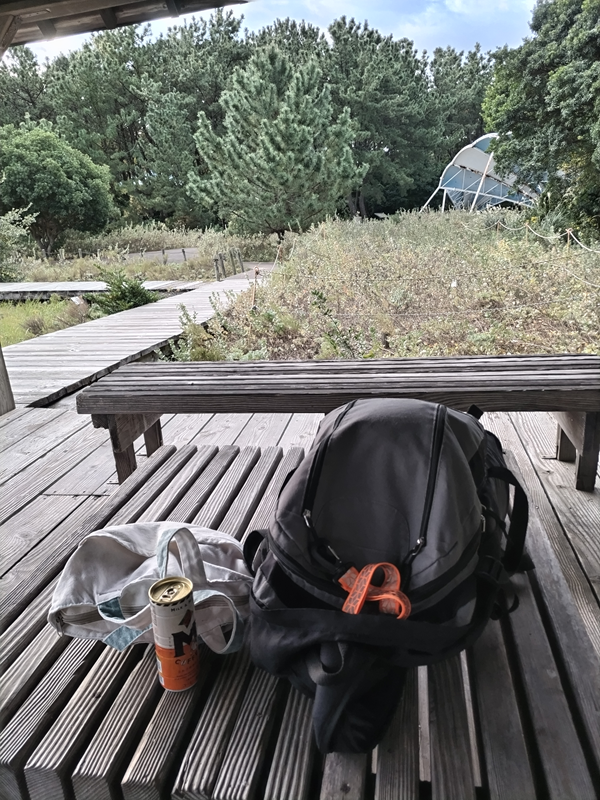 引籠りニートだった齋藤健一が向こう側にある青い屋根の構造物を見ているところ