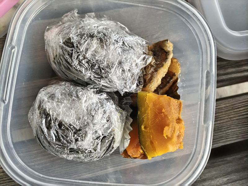 引籠りニートだった齋藤健一が朝に食べていた朝食のおにぎりとカボチャと魚