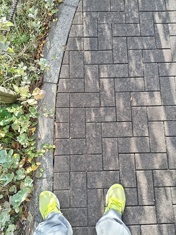 元ニート引籠りの齋藤健一が黄色いスニーカーを履いて早朝に歩いていた歩道