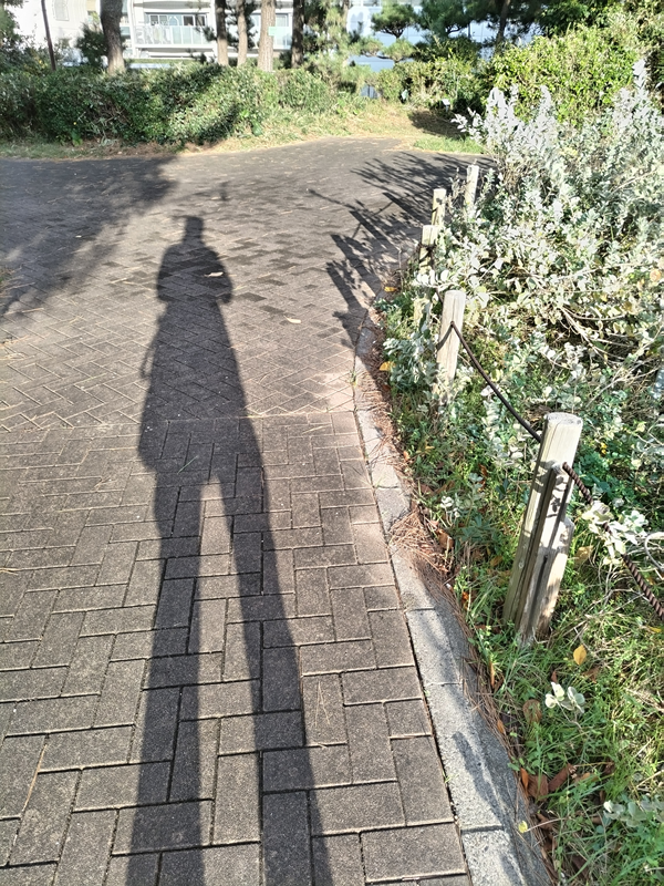 元ニート引籠りの俺が見ていた公園内の歩道に伸びる自分の影