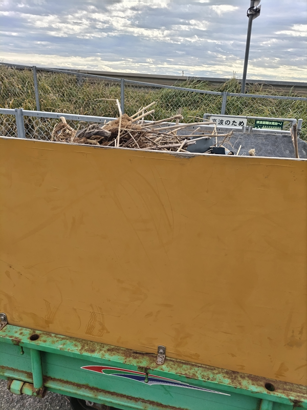 元ニート引籠りの齋藤健一がキャリアダンプに積まれた木くずを横から見ているところ