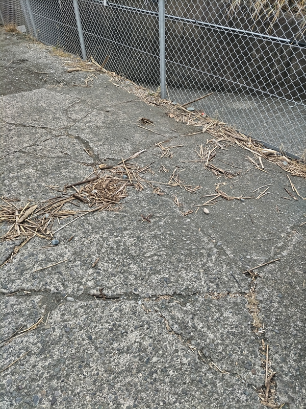 元ニート引籠りの齋藤健一が二宮町の押切海岸へ続く道路の上にある駐車場の土地を見ているところ