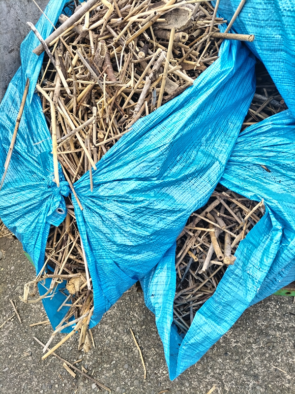 元ニート引籠りの齋藤健一がブルーシートに包まれた大量の海岸清掃で出た木くずを見ている様子