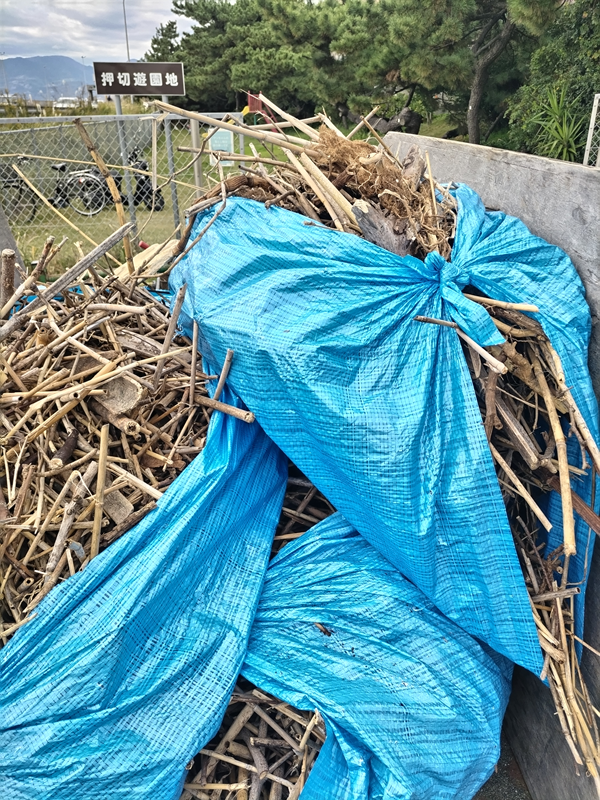 元ニート引籠りの齋藤健一が見ていたブルーシートで包んだ大量の木くずが積み上げられている様子