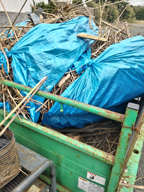 引籠りニートだった齋藤健一が見たキャリアダンプに木くずを包んだブルーシートを大量に積んでいる様子