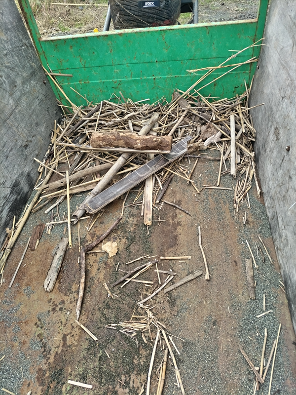 元ニート引籠りの齋藤健一がキャリアダンプの中に散乱する木くずゴミを見ているところ