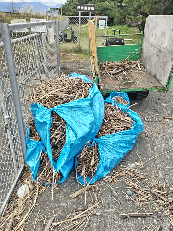 元ニート引籠りが見ていた押切海岸から出た大量の木くずゴミが積み重ねられているところ