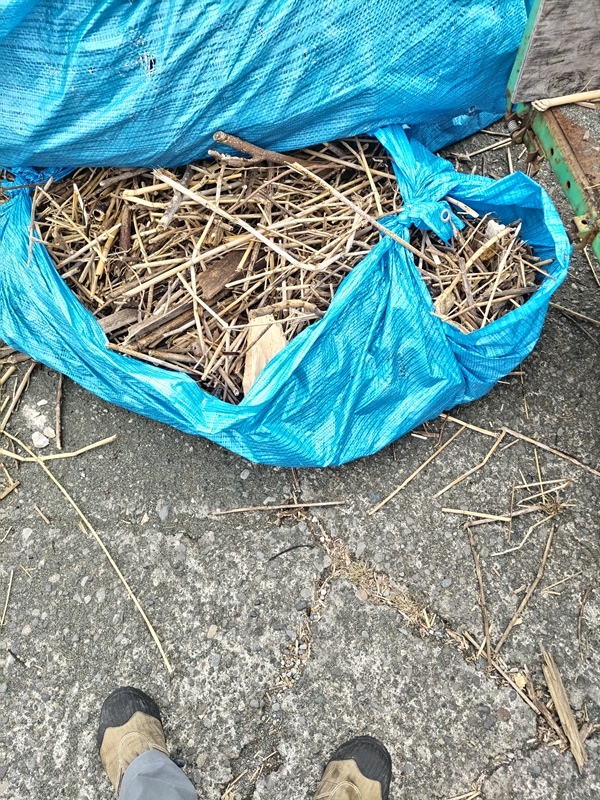 元ニート引籠りの齋藤健一が二宮の押切海岸から出た大量の木くずゴミを見ているところ