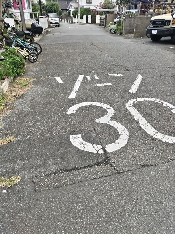 元ニート引籠りの齋藤健一が見ていたゾーン30の道路上の表示