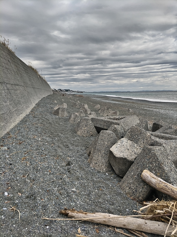 元ニート引籠りの齋藤健一が見ていた二宮町の押切海岸のテトラ帯