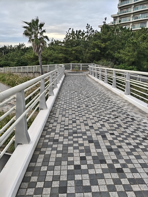 元ニート引籠りの齋藤健一が歩いていた汐見台の歩道橋