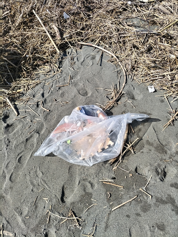 引きこもりだった齋藤健一が茅ケ崎市の漁港西で集めたビニール袋に入った人工ゴミ