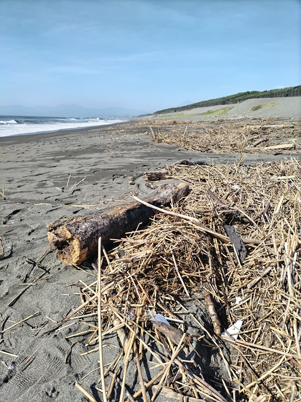 元ニートで海岸清掃員として働いていた齋藤健一が撮影した茅ケ崎の漁港西の砂浜の汚れ切った様子