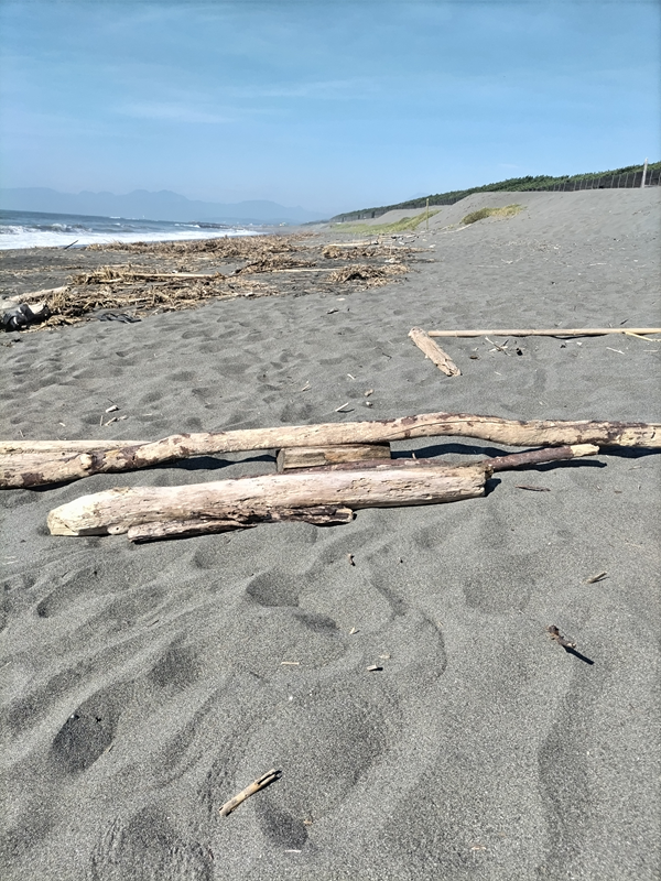 引きこもりだった齋藤健一が海岸清掃前に撮影した数本の流木