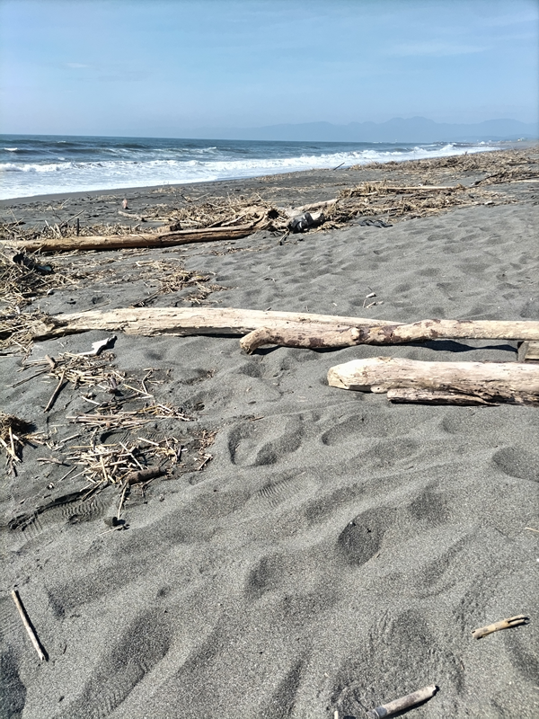 元引籠りが撮影した海岸清掃前の汚れ切った砂浜（茅ケ崎市の漁港西の砂浜）