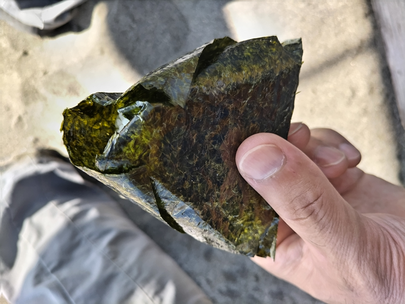 引きこもりだった齋藤健一が食べていた海苔が巻かれたおにぎり